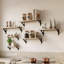 Solid Wood, Paulownia Wood Floating Shelf