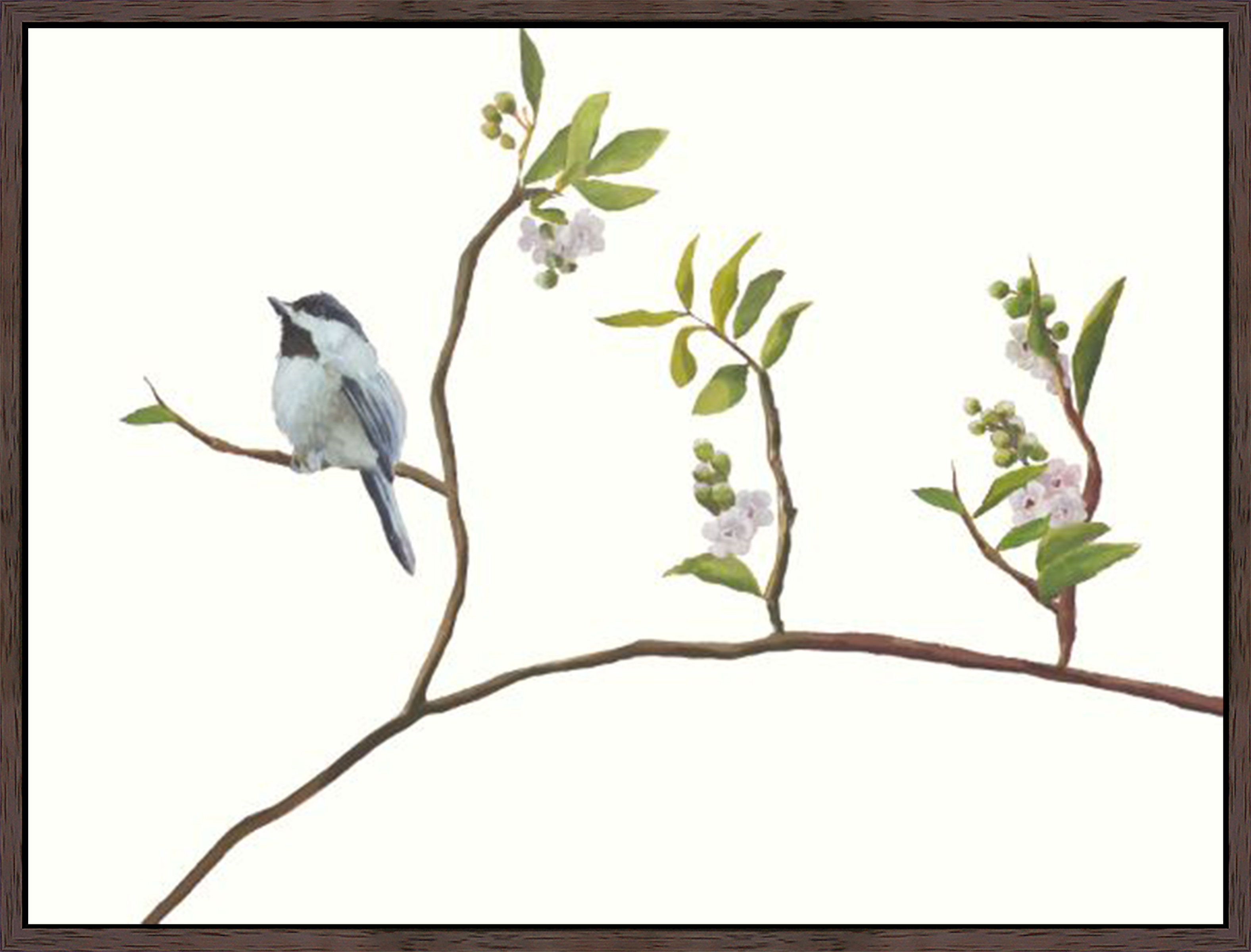 Chelsea Art Studio Birdy VII by Fern Cassidy - Wrapped Canvas Painting ...