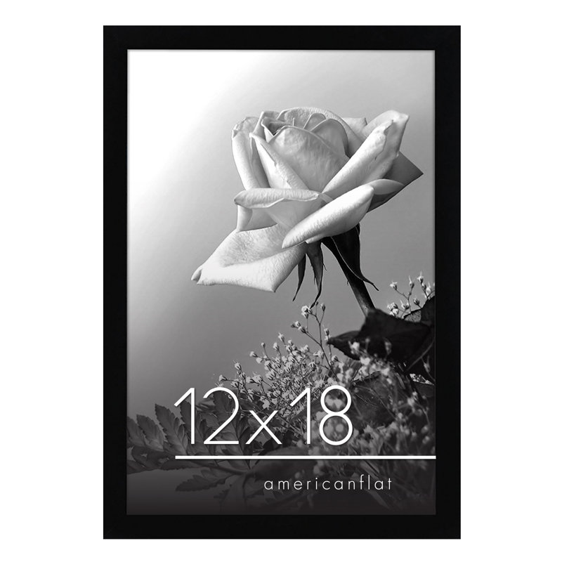 Cadre de signature en bois composite et housse de suspension en plexiglas inclus, Noir, 12 po x 18 po