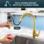 Pull Down Spray Single Lever Kitchen Tap-1277498246