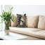 Coussin One Morning