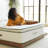 Avocado Green Mattress-124283180-124283182