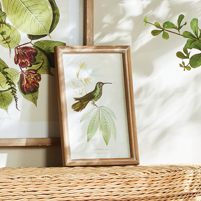HUMMINGBIRDS IN BLOOMS STUDY, ENSEMBLE DE 8