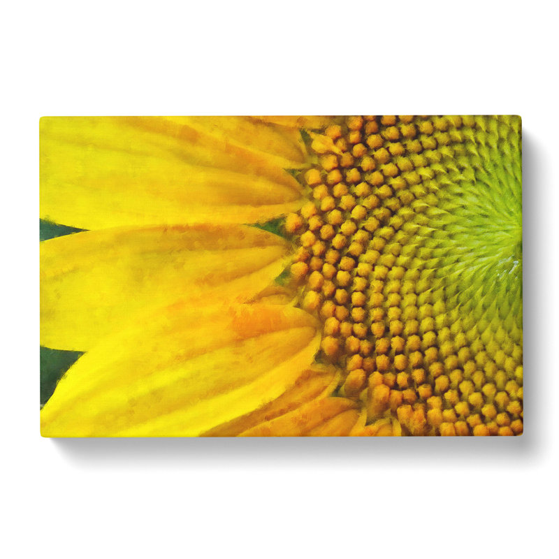 Petals Of The Yellow Sunflower - Wrapped Canvas Painting, 60cm H x 91cm W x 3cm D
