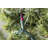 50.5' 100-Light String Lights-31889555