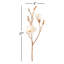 Magnolia Sprays-328655822