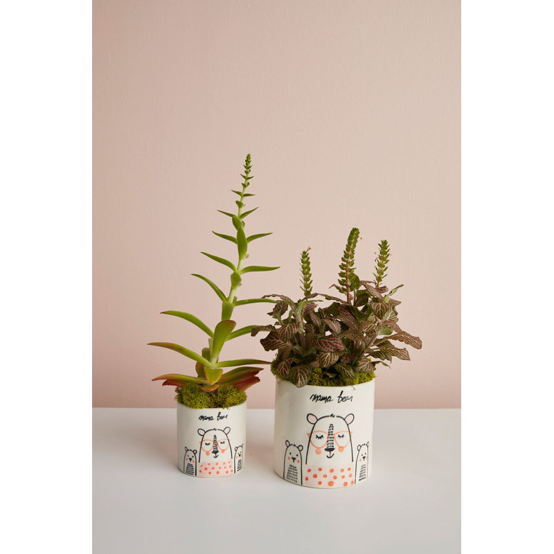 Mama Bear Pot 3"x 3"