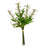 Artificial Sage Bundle-216721687