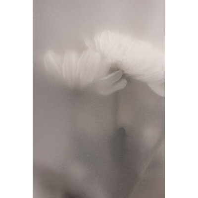 1 Piece Wrapped Canvas Wall Art