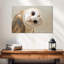 Hibou Brampt-107679673