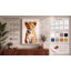 Young Lion Cub Modern - Wrapped Canvas-1340372584-1340372590