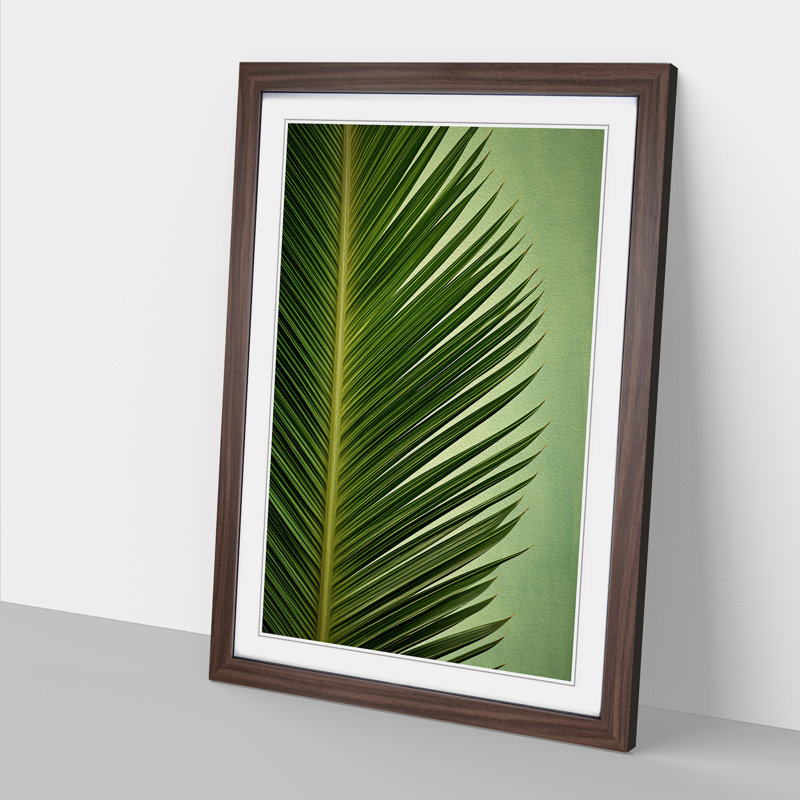 Palm Leaf Symbolism - Single Picture Frame Print on Wood, 46cm H x 34cm W x 2" D, Walnut Framed