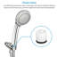 Aalliyah Shower Head