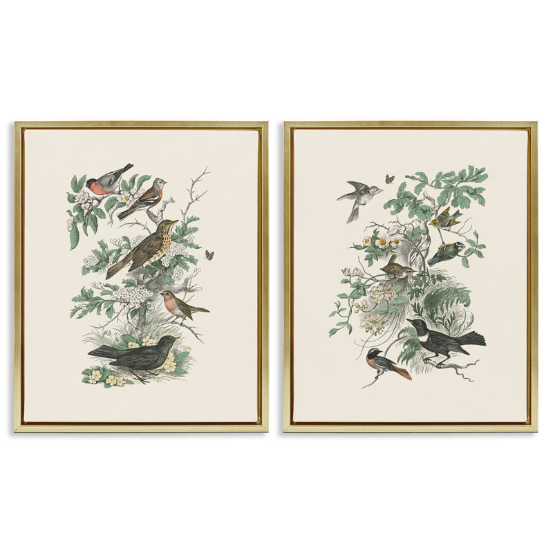 Ensemble de 2 toiles flottantes encadrées Honeybloom Birds in Nature, par Wild Apple Portfolio, H 31 po x l 25 po