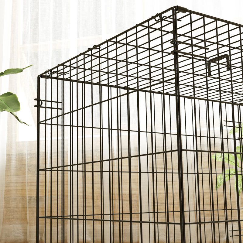 Metal Collapsible Pet Crate with 2 Doors, 60cm H x 76cm W x 53cm D