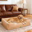 Orthopedic Dog Bed with Bolster -1772691851-1772796696