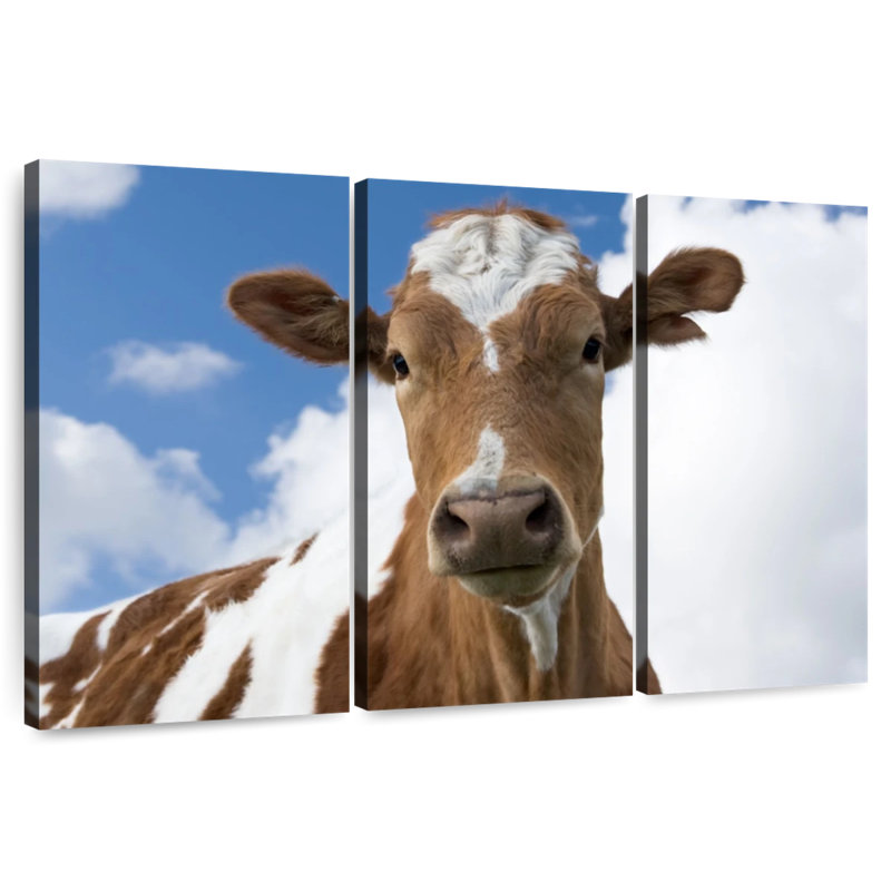Guernsey Cow