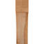 Attelle de genou Westlake-29310046-31230129-31230611