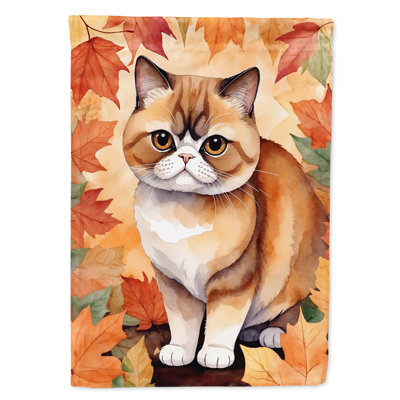 Chat en feuilles d'automne