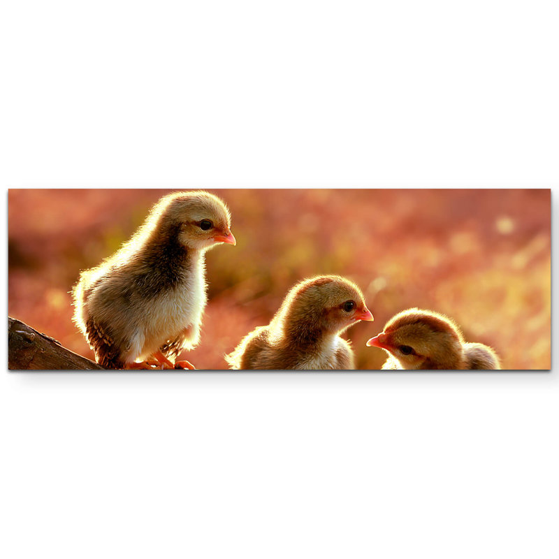 Wrapped Canvas Print, 90cm L x 90cm W