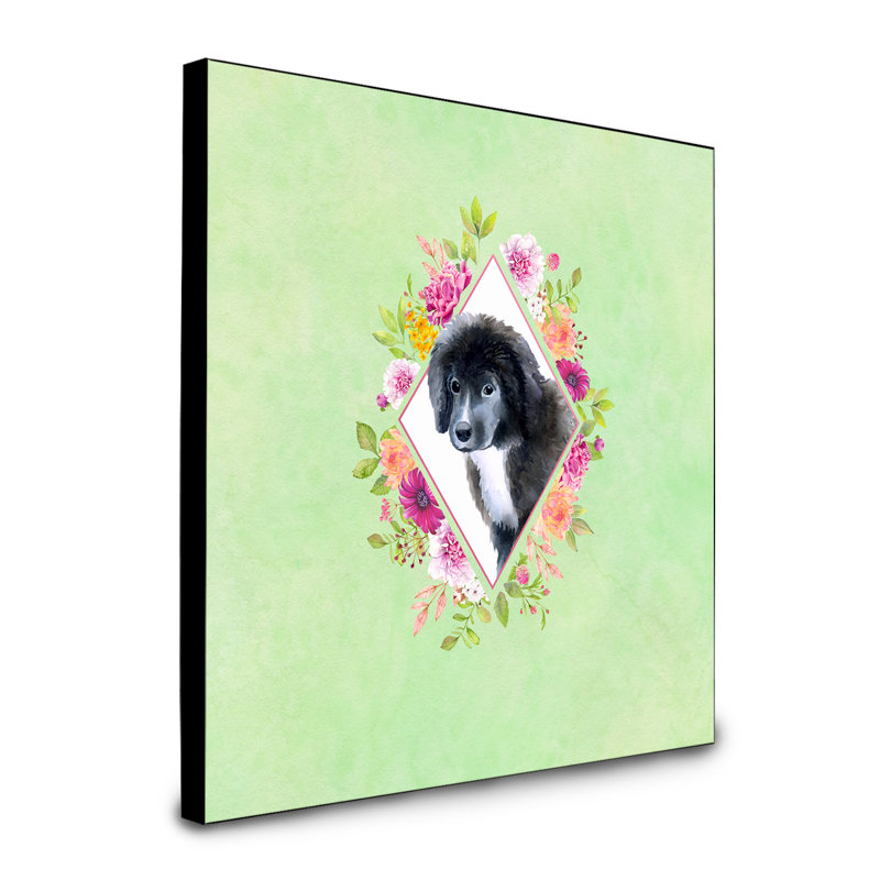 Panneau mural Dollman Flowers, Vert, Chiot Terre-Neuve
