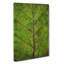 Leaf Lines - Wrapped Canvas-56667339