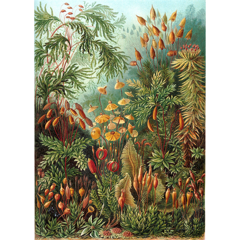 Bryttney Matte Mural, 250 x 104cm
