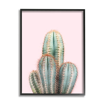Art mural sur toile Stupell Industries Blush Cactus