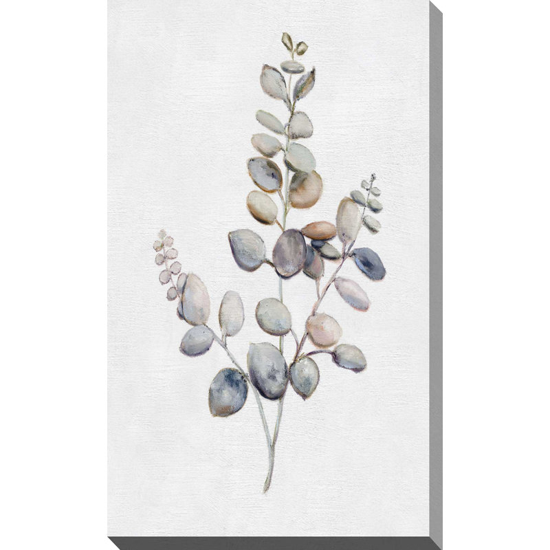 «Eucalyptus I» par Donna Brooks - Peinture, L 18 po x H 30 po, Toile tendue
