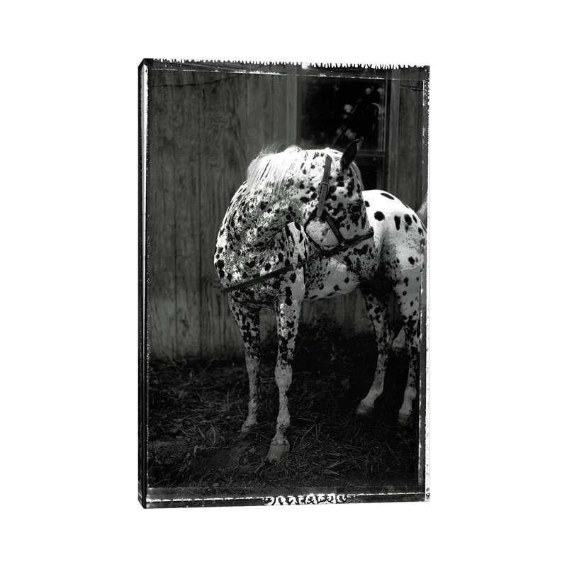 Print, Canvas, 20.32 cm H x 30.48 cm W