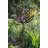 Rodarte  Wind Rotator-24742202