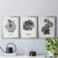 B&W d'intérieur plante I - ensemble de 3 reproductions d'art sur toile-1234909075-1234909072