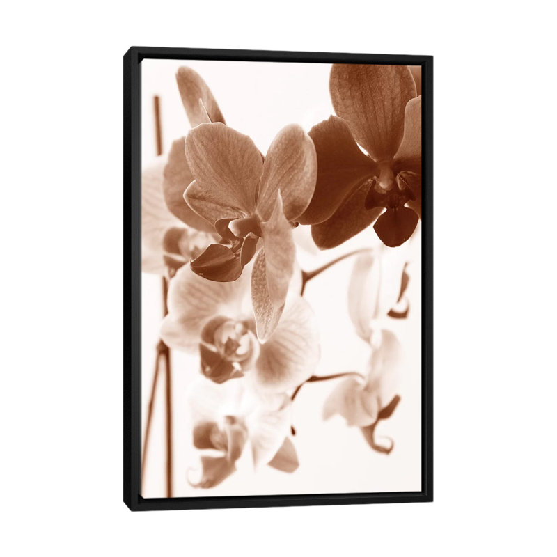 « rêvey orchidéess i », impression sur toile, H 26 po x l 18 po x P 1,5 po, Toile avec cadre noir, Pas de tapis