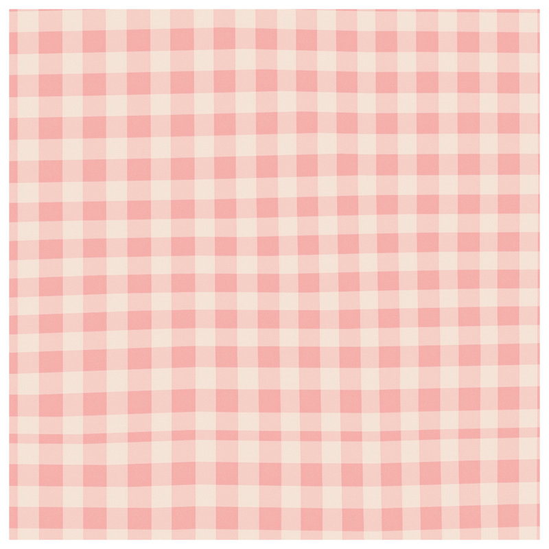 Tapis de bain rose à carreaux vichy, L 34 po x L 21 po