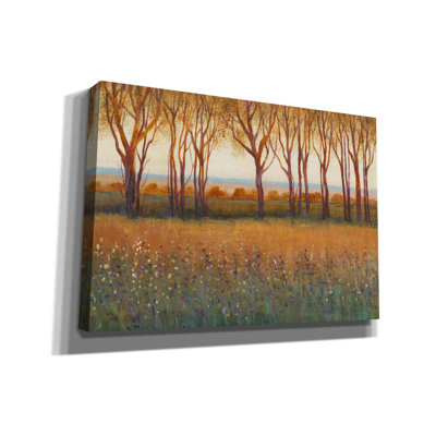 Glow In The Afternoon I " Glow In The Afternoon I " by Timothy O' Toole Painting Print