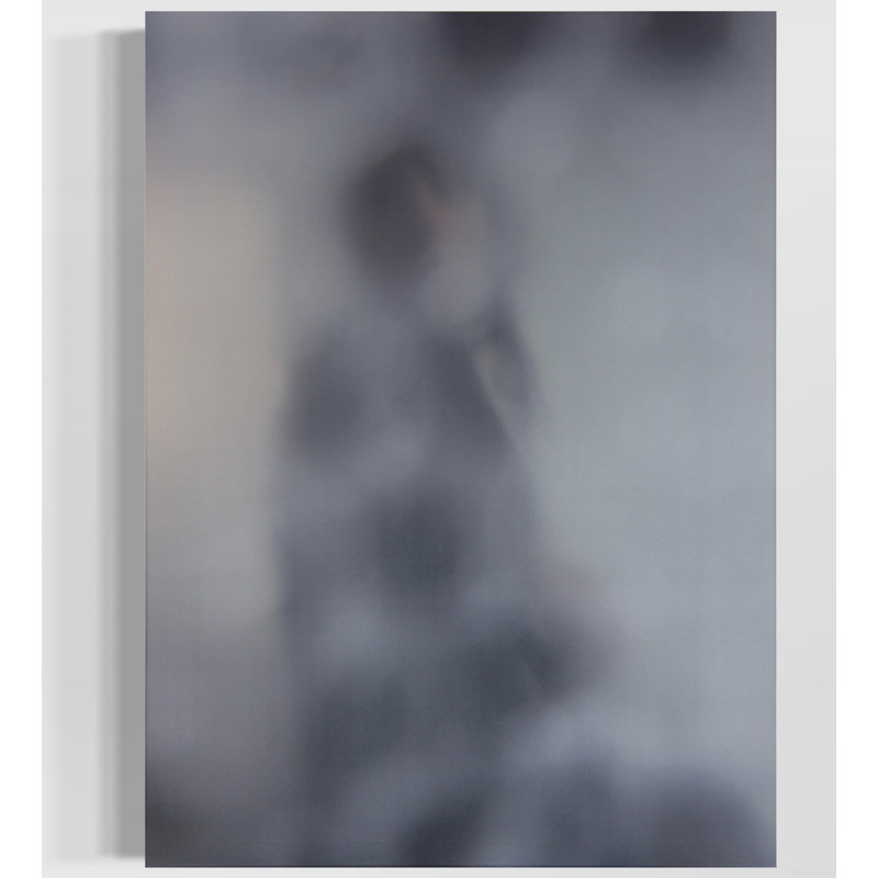 Evanesce-Concealed - Wrapped Canvas Print