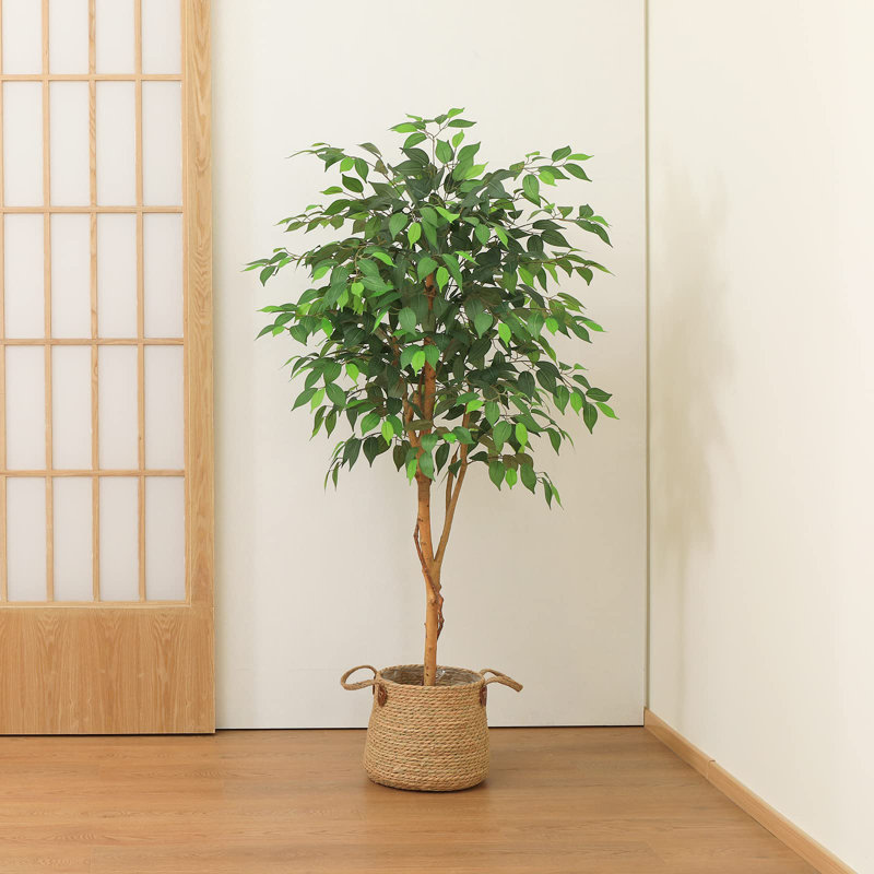 Annaliisa Faux Tree, 150cm H x 15.5cm W x 15.5cm D