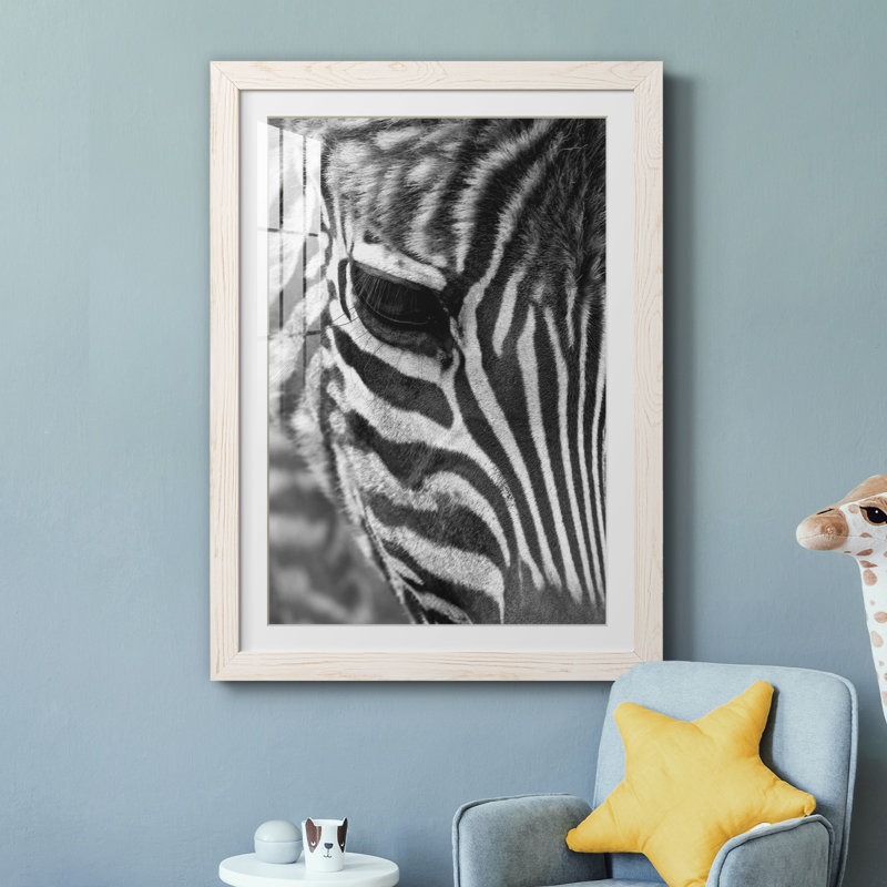 Zebra Colt - Photographie avec cadre photo, H 37,5 po x l 27,5 po x P 1,5 po, Cadre blanc