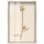 Art botanique Austere Beauty Shadowbox par Art Remedy