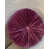 Dark Raspberry