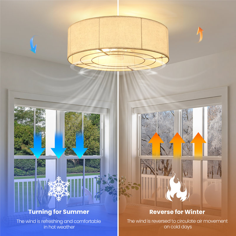 Modern 20-Inch Ceiling Fan With Light