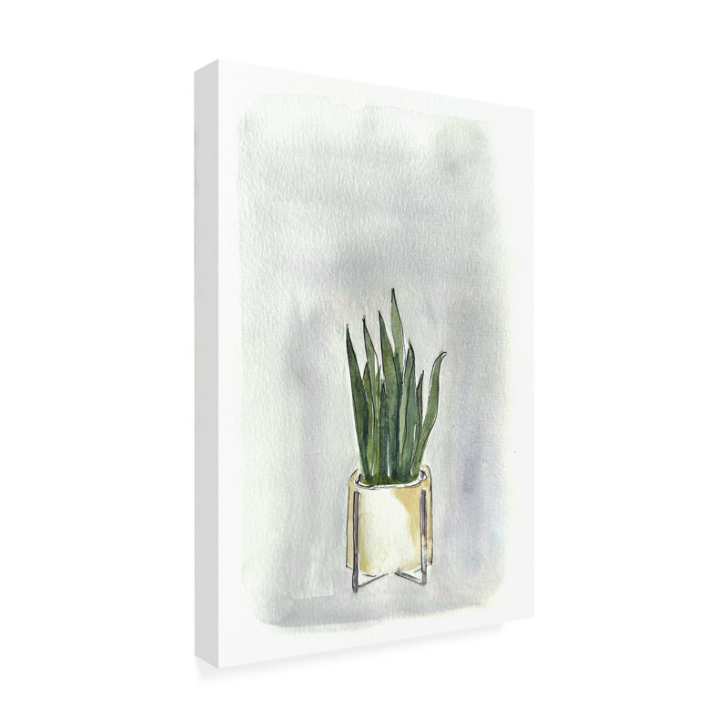 Art sur toile, plante Nicky Levi, H 19 po x l 12 po