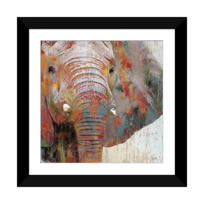 " Paint Splash Elephant " by Nan