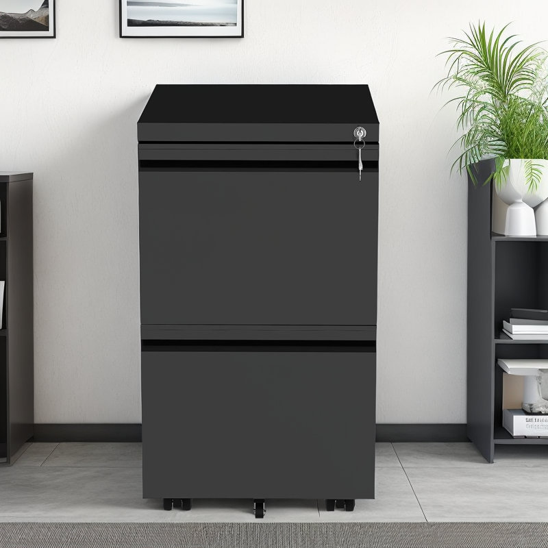 Black Steel 2-Drawer Lockable Mobile Vertical File Cabinet