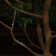 Outdoor 100 - Bulb 864'' Solar Powered LED Wide Angle LED String Light