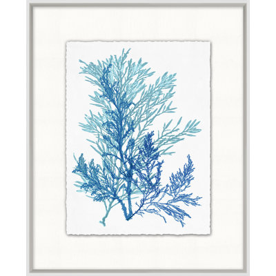 Azure Ocean Herbarium 6' Framed Graphic Art Print on Glass