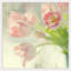 Judy Stalus - Single Picture Frame Print-20708648
