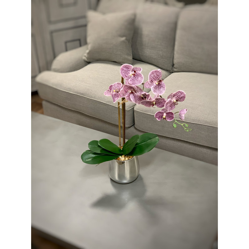 Orchid In A Silver Vase