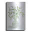 «Eucalyptus Beauty I» par Cindy Jacobs, art mural en métal-1158462109