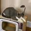 82.55cm H Cat Tree